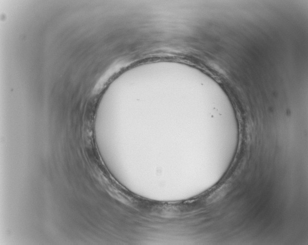 X0000054431355200508262337