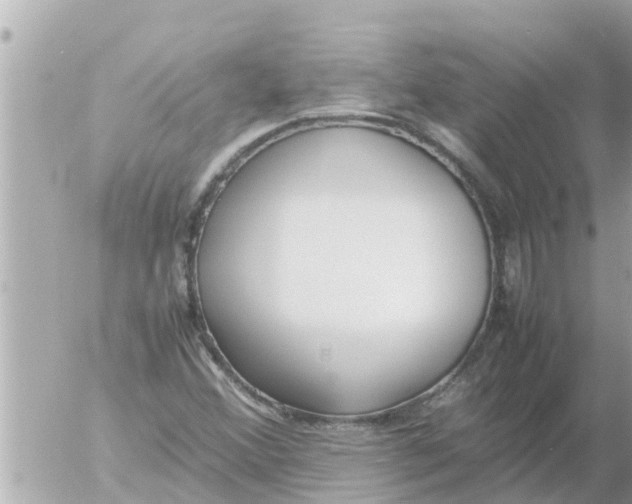 X0000054431356200508262337