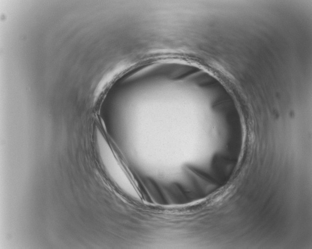 X0000054431357200508262337