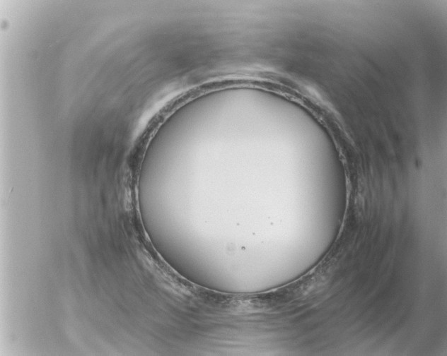 X0000054431360200508262337