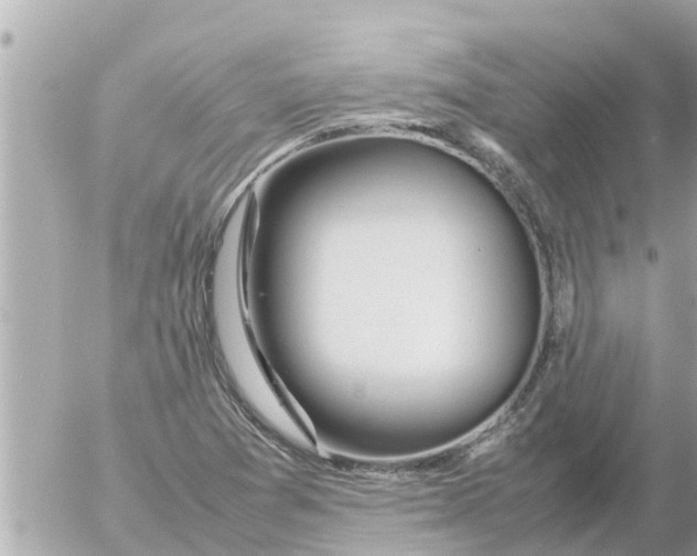 X0000054431361200508262337