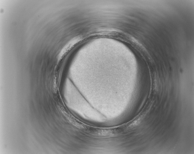 X0000054431362200508262337