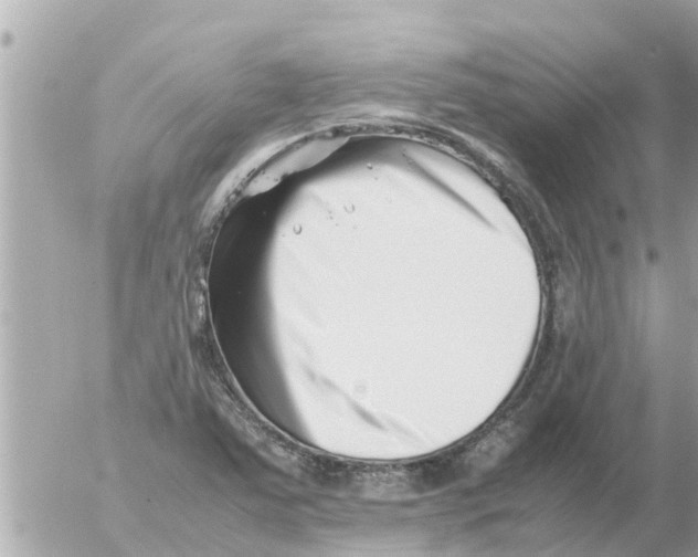 X0000054431363200508262337