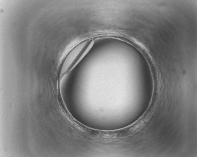 X0000054431365200508262337