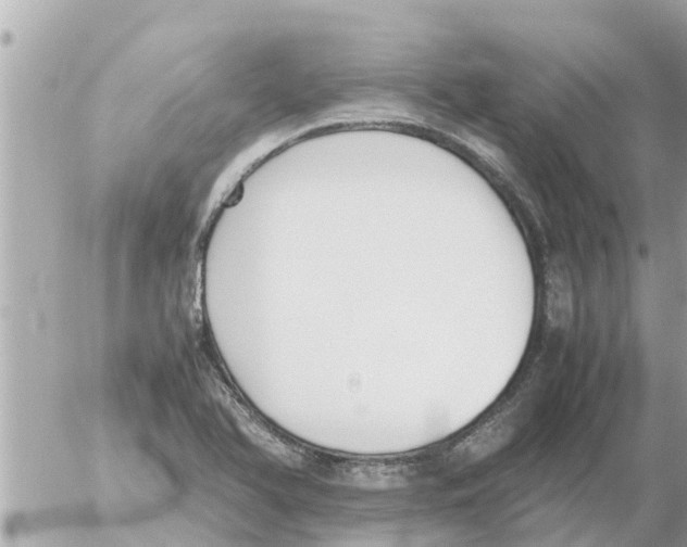 X0000054431366200508262337