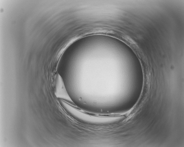 X0000054431369200508262336