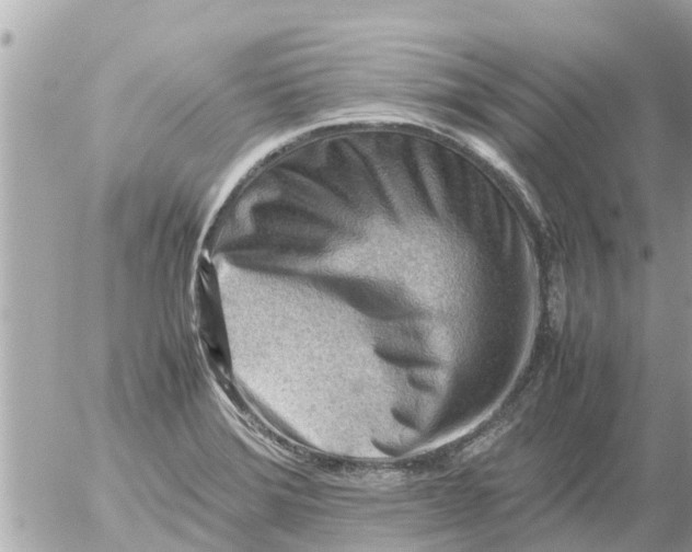 X0000054431372200508262336