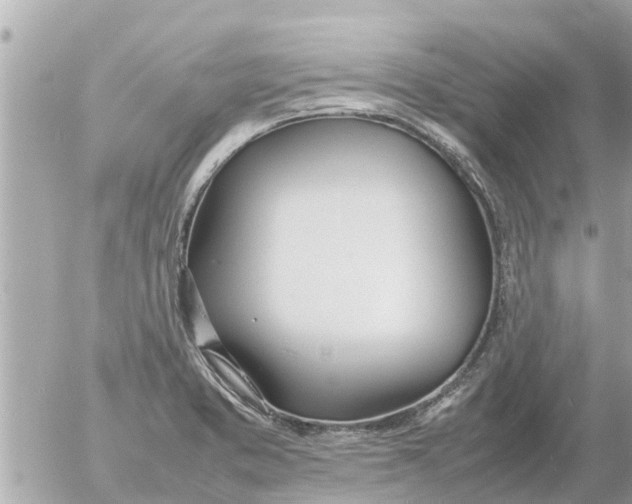 X0000054431373200508262336