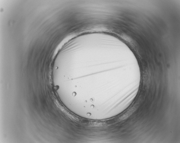 X0000054431374200508262336