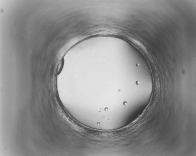 X0000054431375200508262336