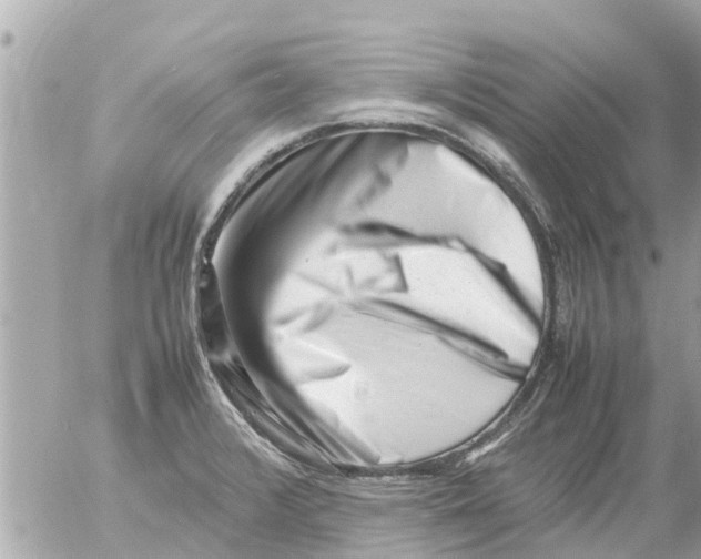 X0000054431376200508262336