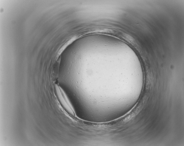 X0000054431377200508262336