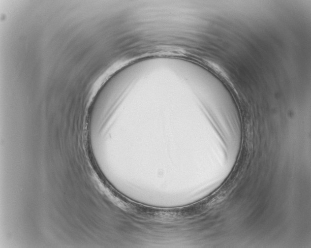 X0000054431379200508262336