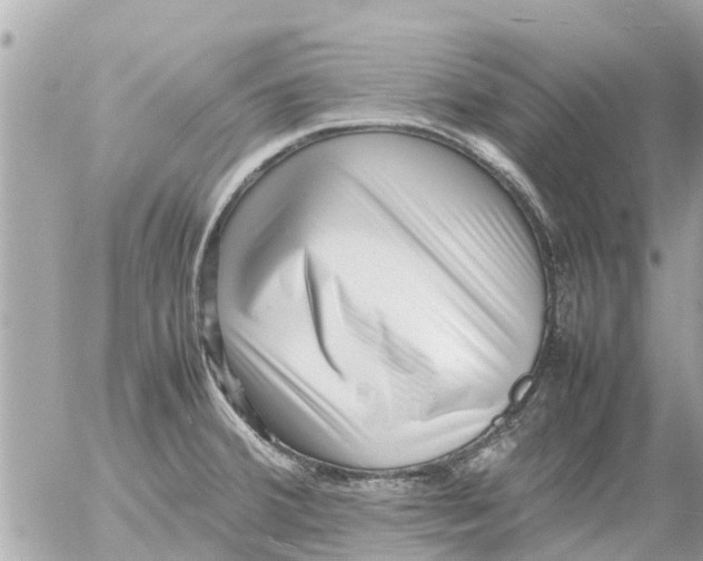 X0000054431380200508262336