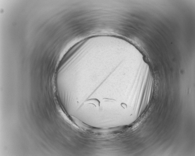 X0000054431382200508262336