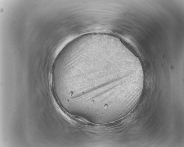 X0000054431383200508262336