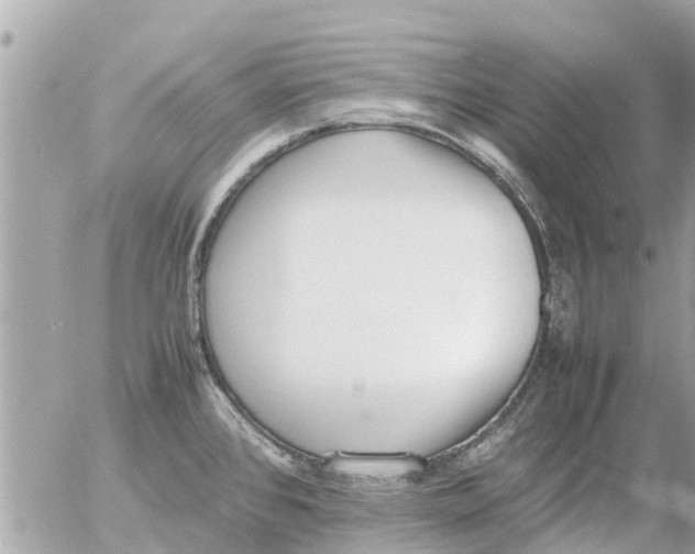 X0000054431384200508262336