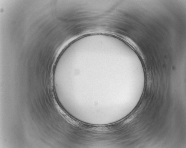 X0000054431388200508262336