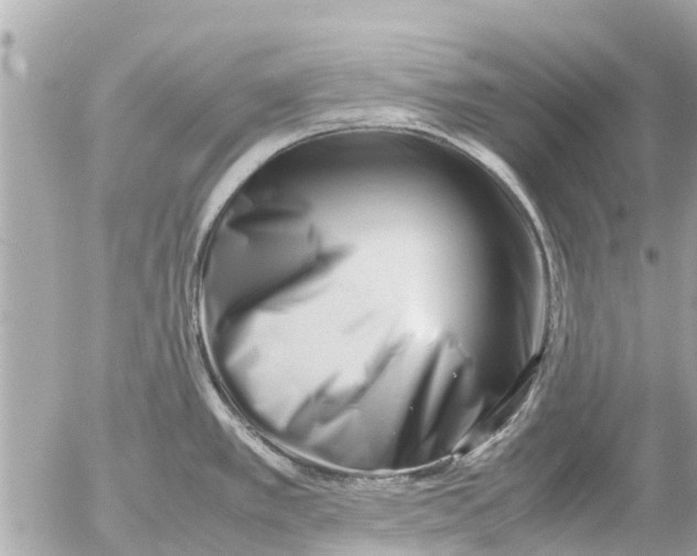 X0000054431389200508262336