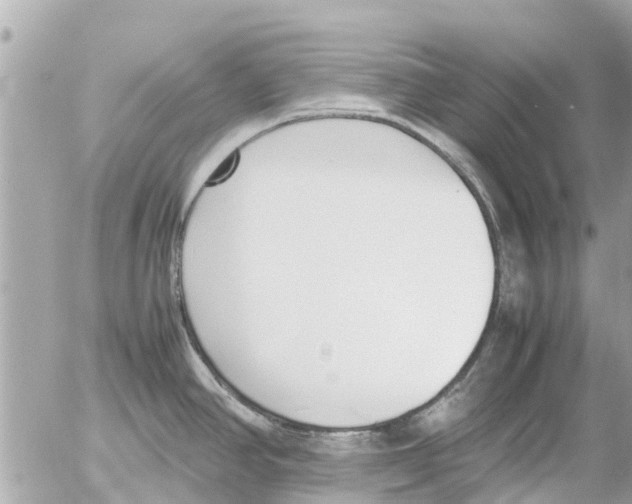 X0000054431390200508262336