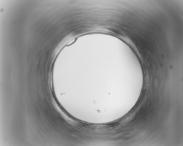 X0000054431391200508262336