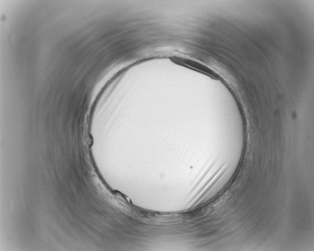 X0000054431392200508262336