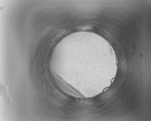 X0000054431393200508262335