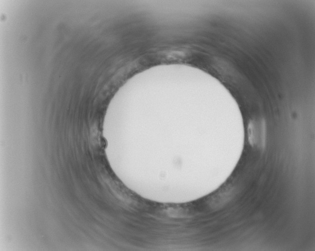 X0000054431395200508262335