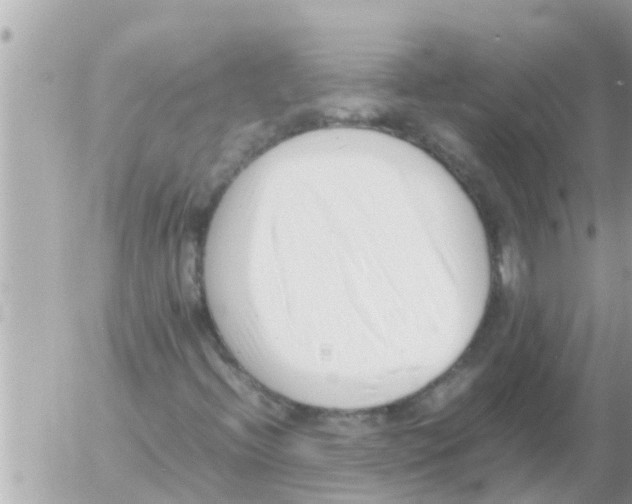 X0000054431396200508262335