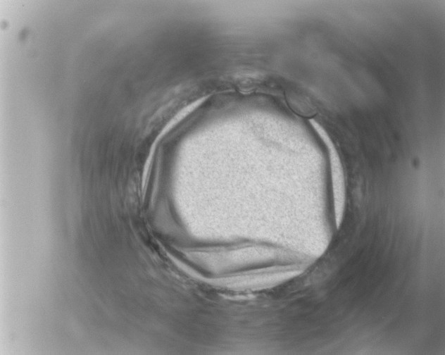 X0000054431397200508262335