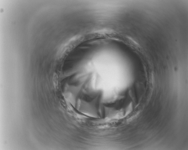 X0000054431398200508262335