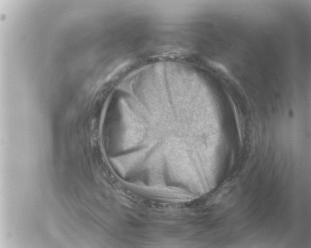 X0000054431399200508262335