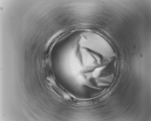 X0000054431402200508262335