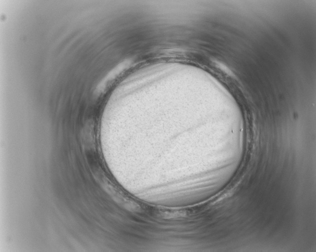 X0000054431403200508262336