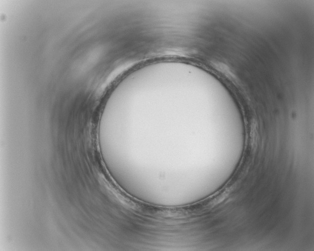 X0000054431404200508262336