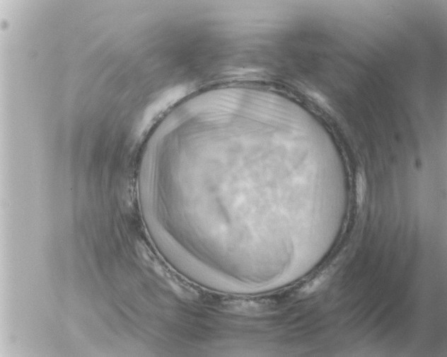 X0000054431405200508262336