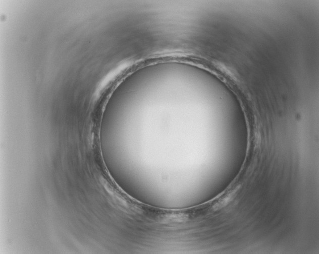 X0000054431406200508262336