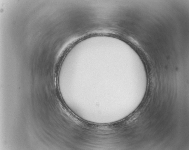 X0000054431408200508262336