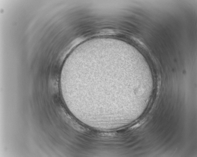 X0000054431409200508262336