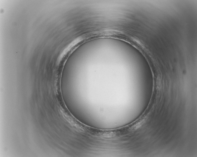 X0000054431410200508262336