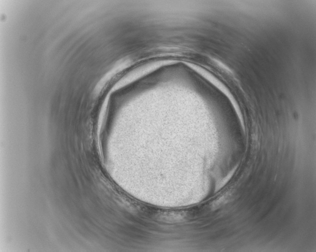 X0000054431411200508262336