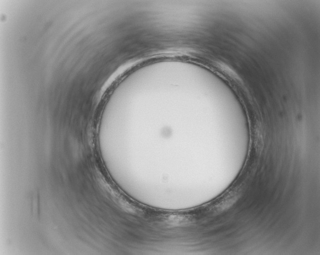 X0000054431412200508262336