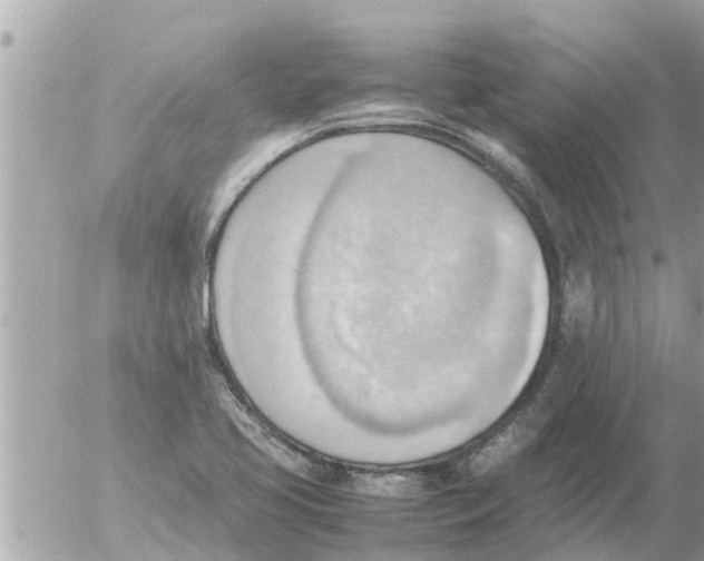 X0000054431413200508262336