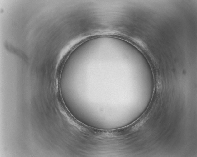 X0000054431414200508262336