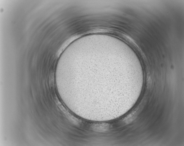 X0000054431417200508262336