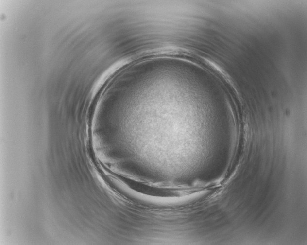 X0000054431418200508262336