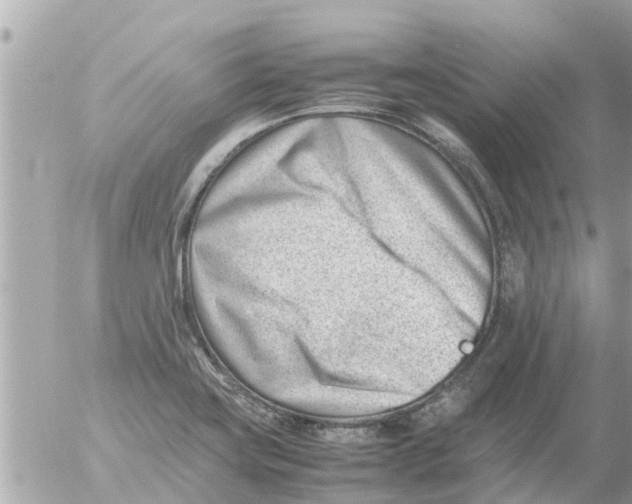 X0000054431419200508262336