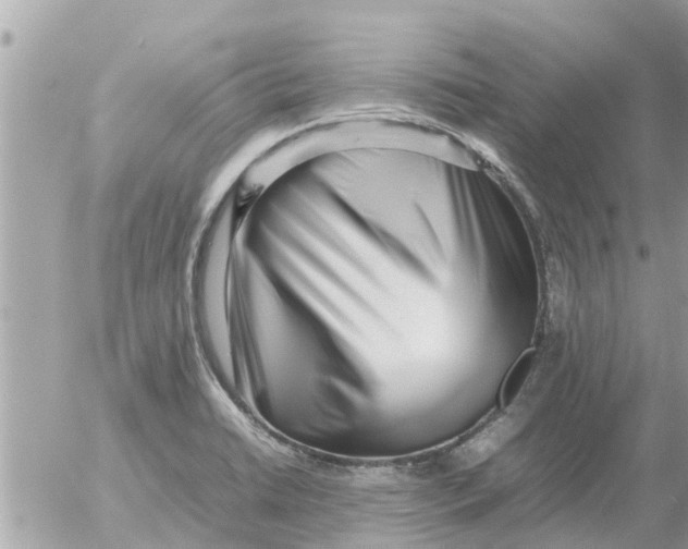 X0000054431422200508262336