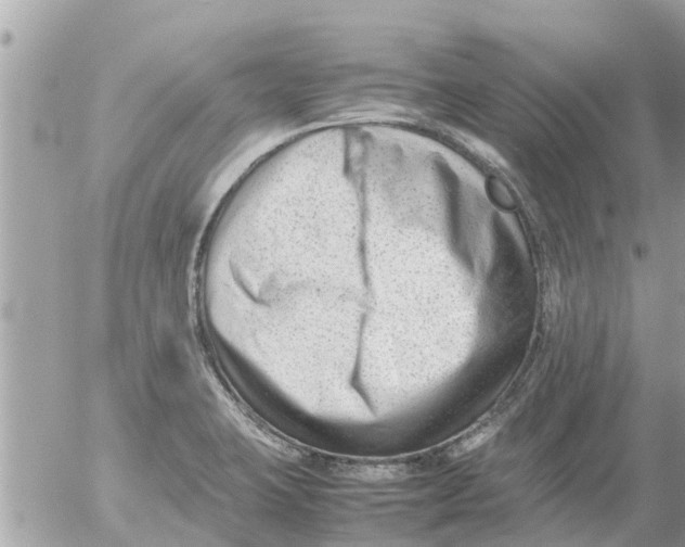 X0000054431423200508262336