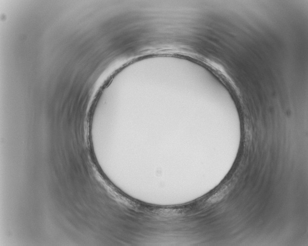 X0000054431424200508262336